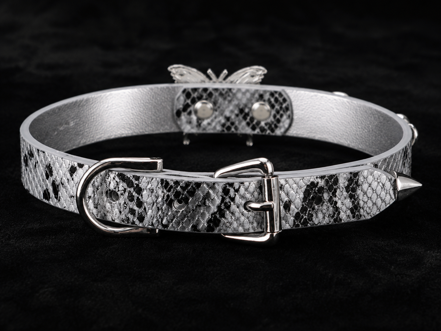 Pearl Thorn Choker — White Python Leather with Butterfly, Pearls & Silver Spikes